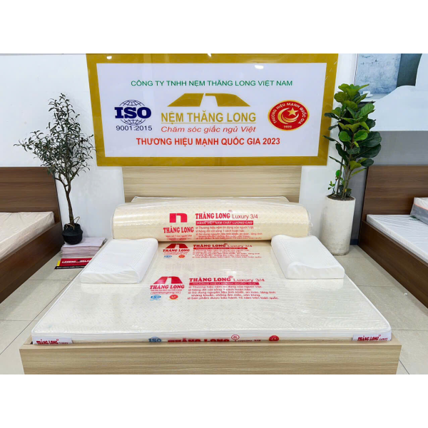 NỆM CAO SU THIÊN NHIÊN 100% VINHA LATEX