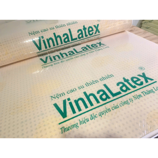 NỆM CAO SU THIÊN NHIÊN 100% VINHA LATEX